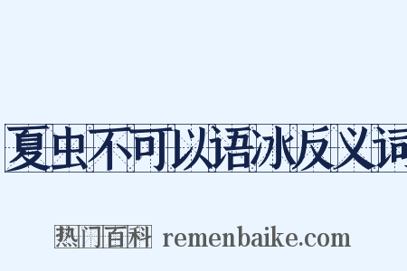 夏虫不可以语冰反义词是什么意思的图片